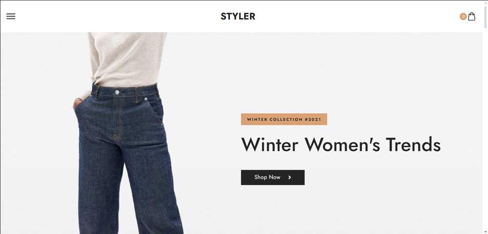 How to Setup and Download Styler - Elementor Fashion Store eCommerce Theme